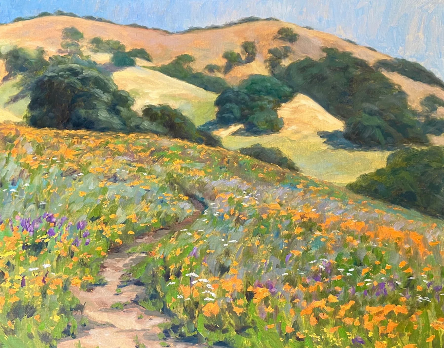 Plein-air painting of rolling hills and California poppies by Heather Ihn Martin