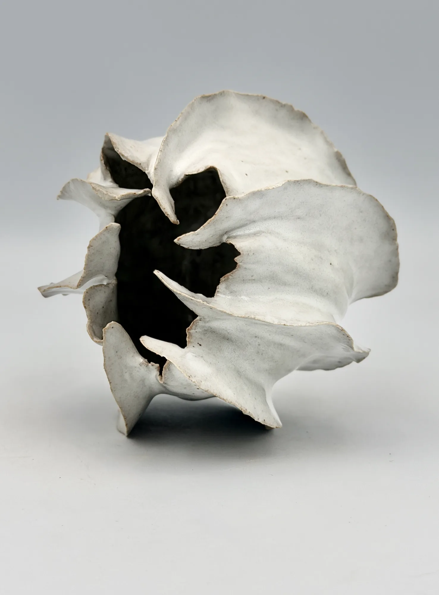 A white sculpture with petal-like folds opening around a dark centre